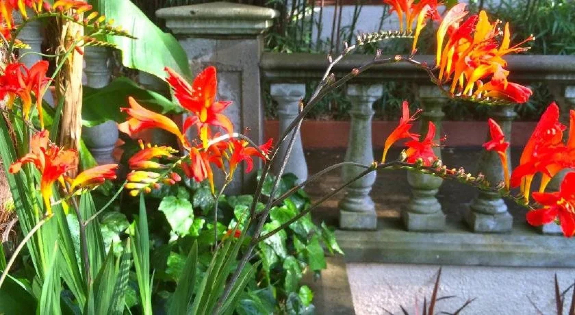 The Guesthouse Tropical Villa HI