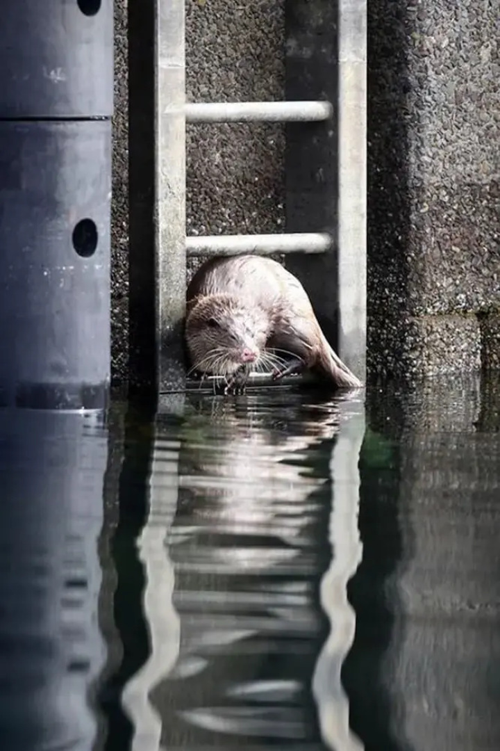 The Old Byre Knoydart