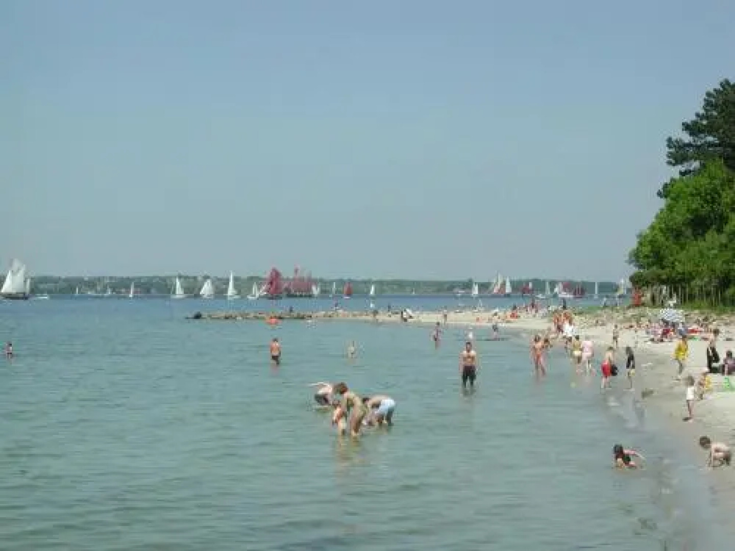 Jepsen - Ferienwohnung