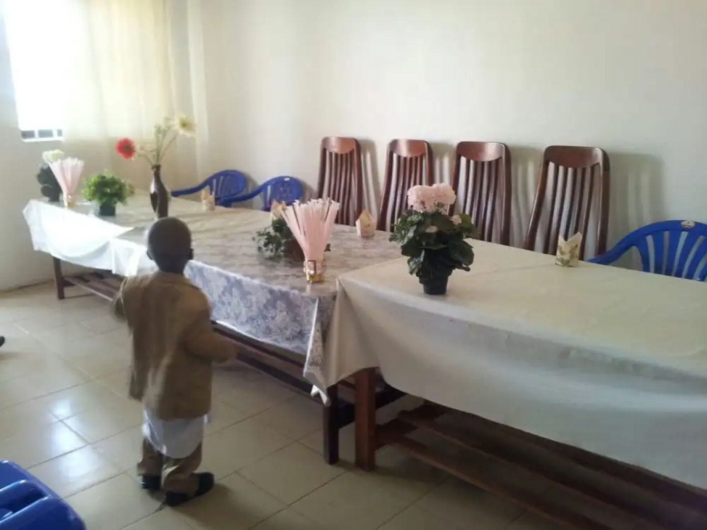 Rena Akasha Establishments