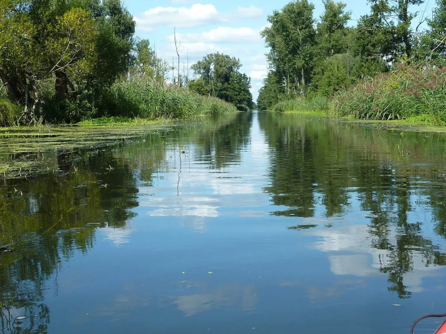 Spreewald Pension Spreeaue