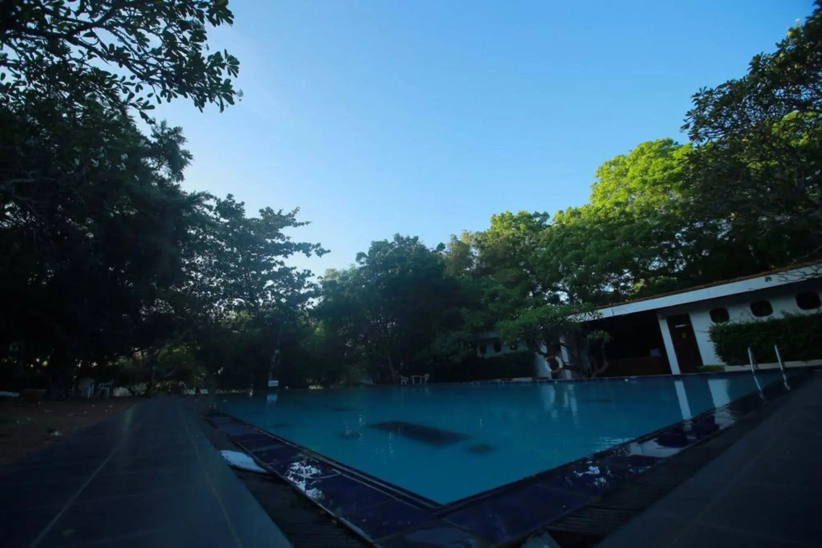 Peacock Beach Resort & Spa