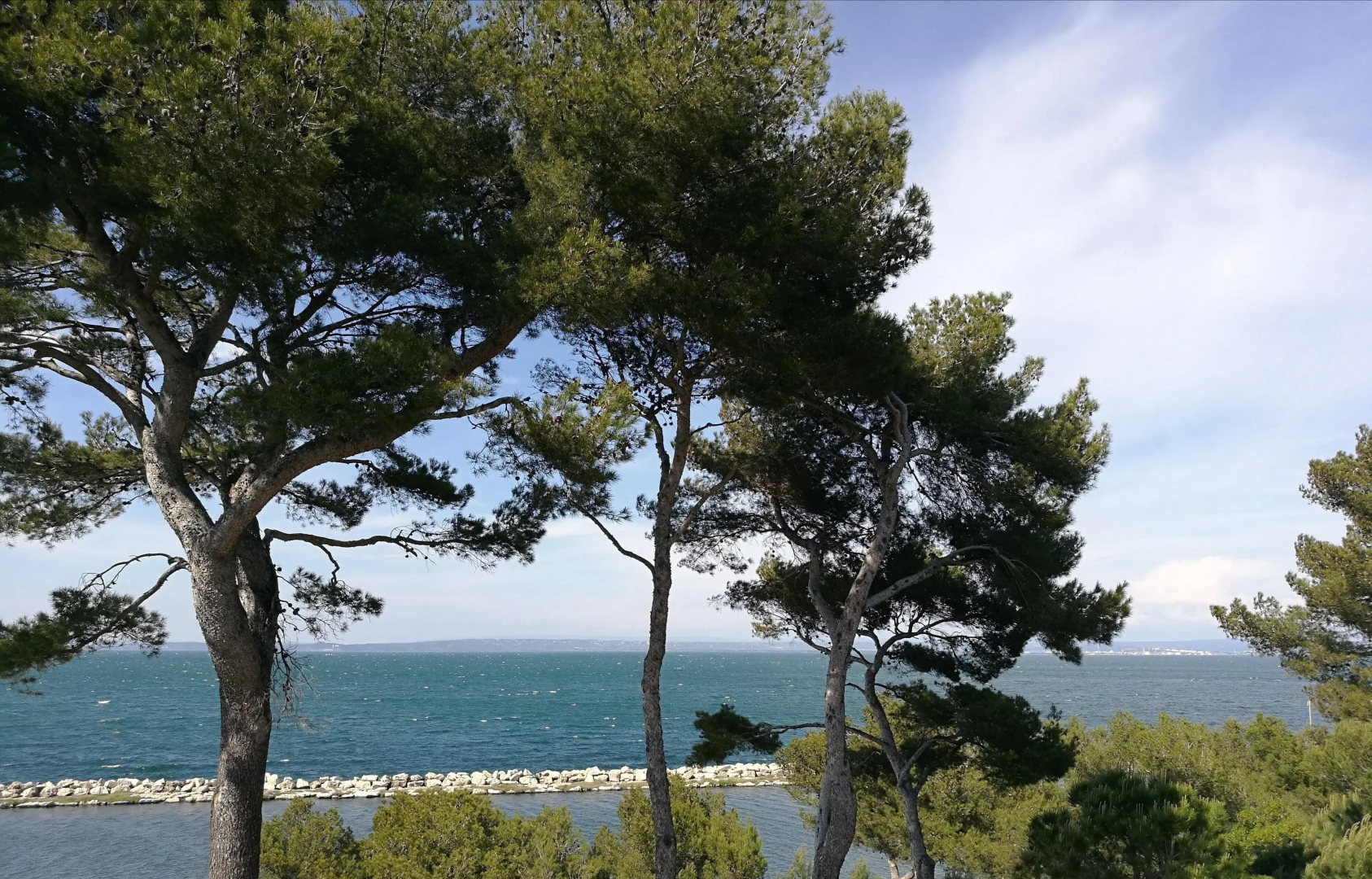 La Cigaliere