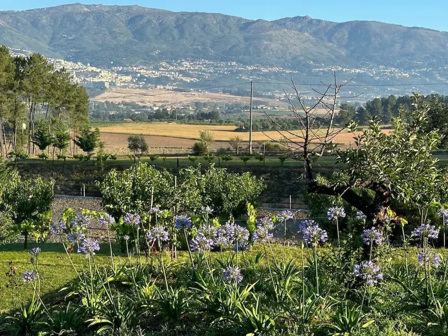 Laje da Bica Agroturismo