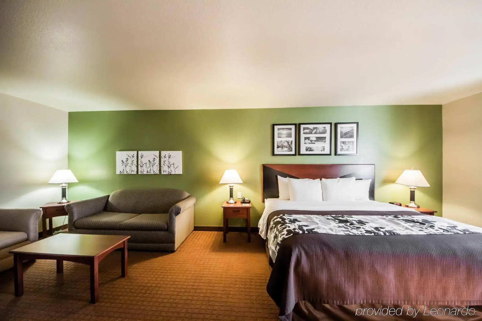 Sleep Inn & Suites Shamrock