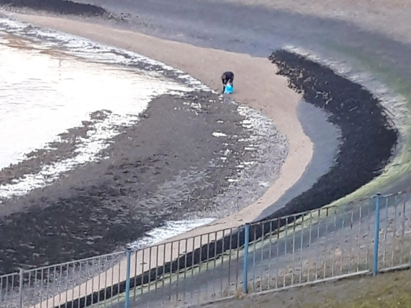 Cosy Holiday Home in Lauwersoog by the Lake