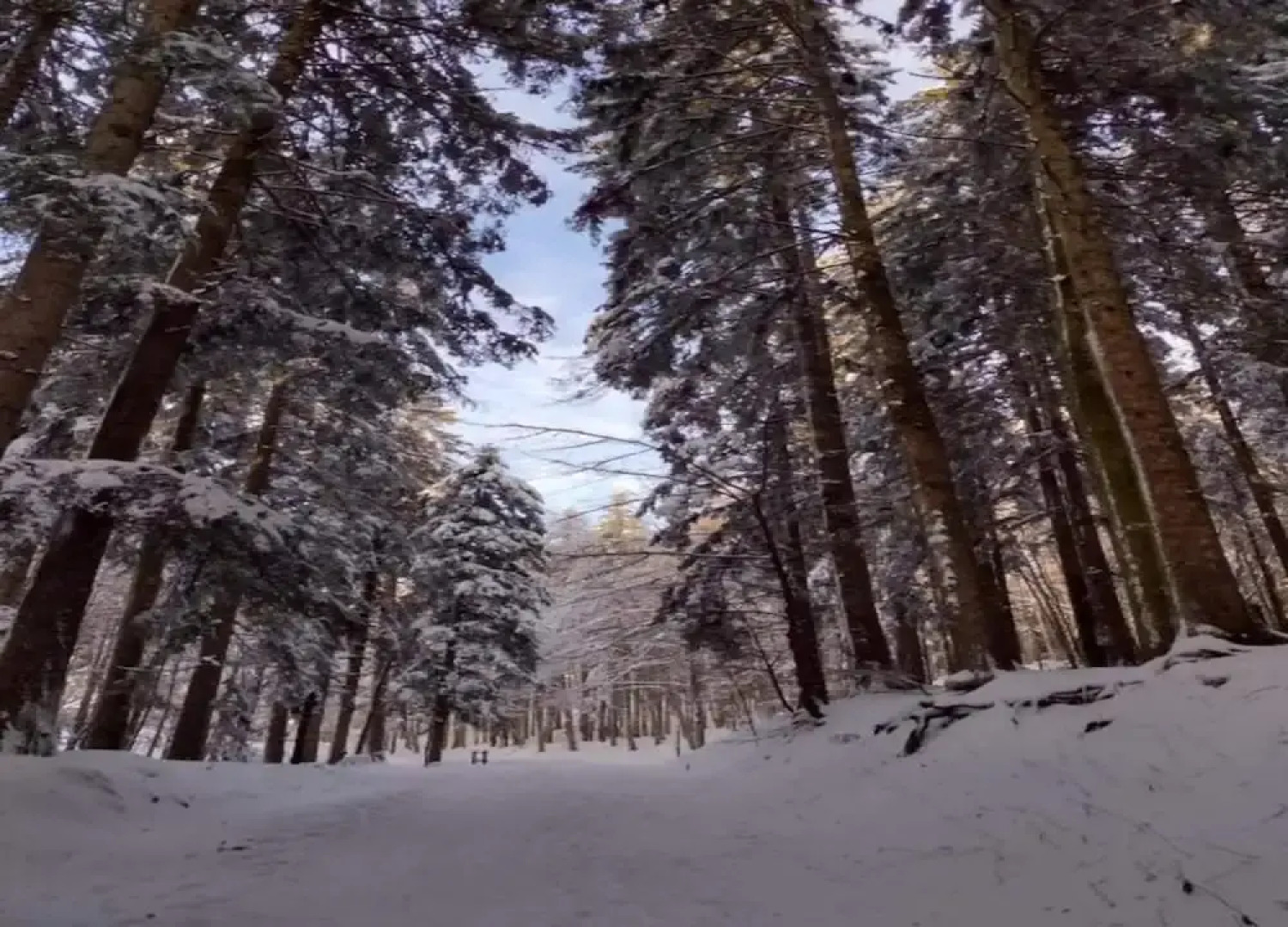 Holiday Home in Ortignano