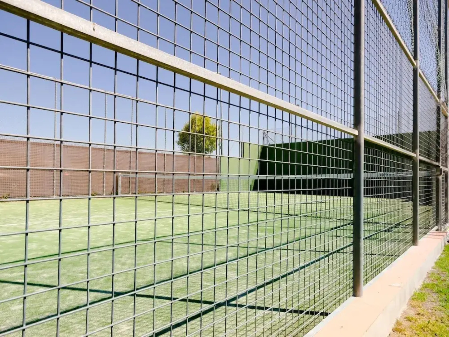 Rosa DE LOS Vientos 207 15665