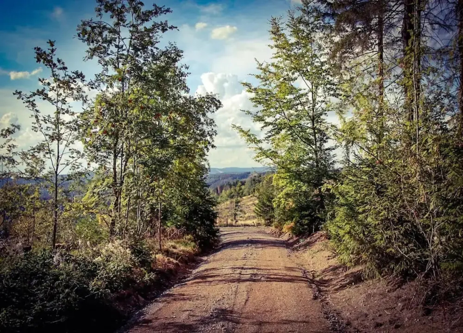 Ferienhaus in Masserberg
