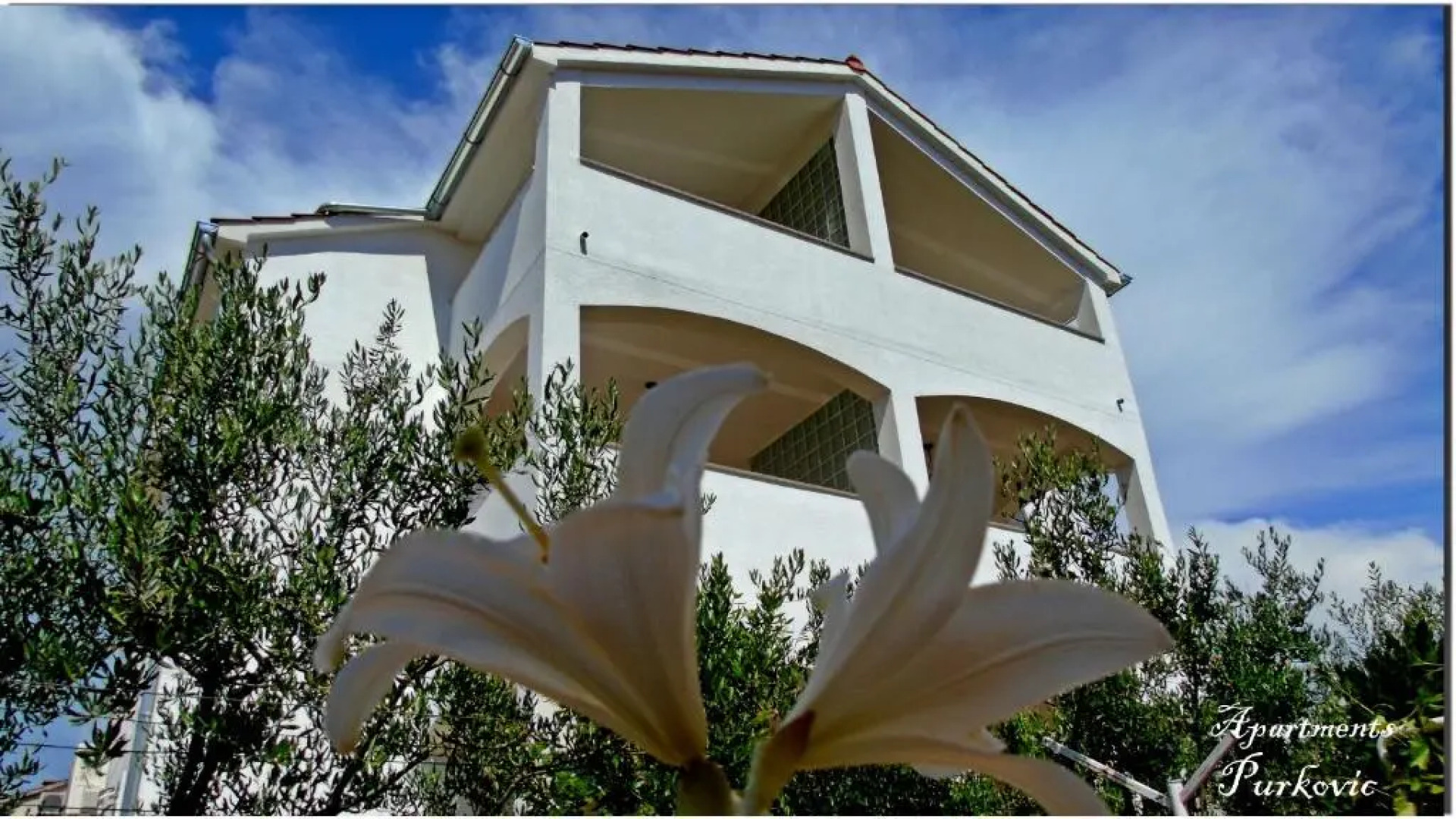 Apartments Purkovic