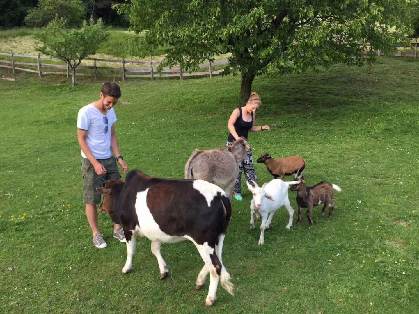 Alpen Adria Gasthof Rausch