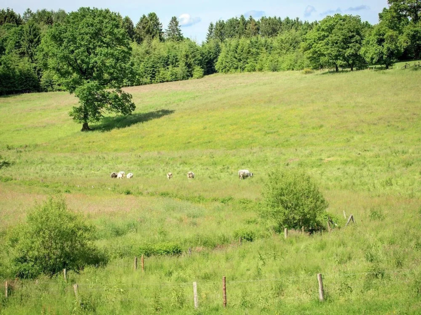 Sol Battire & A Tchape Mele