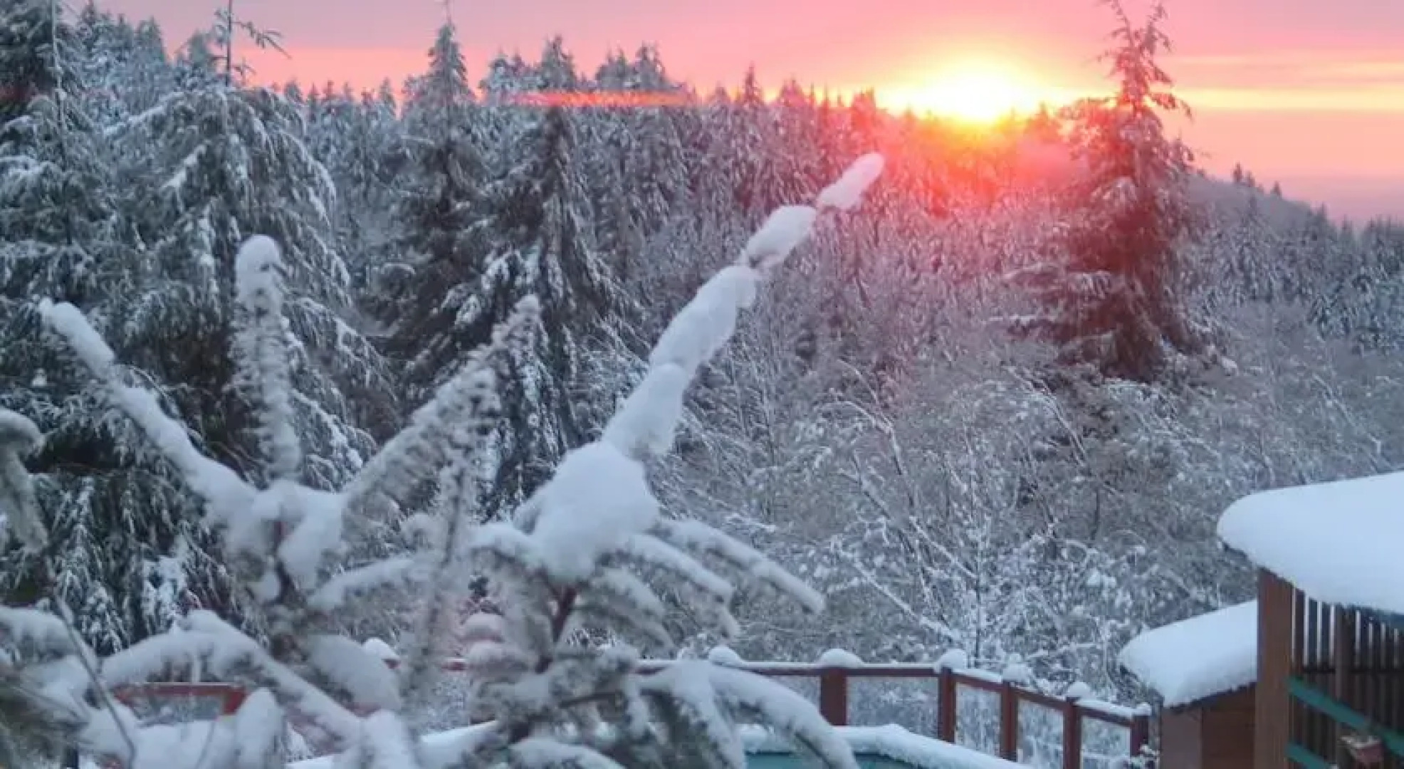 Camping Auberge les Myrtilles