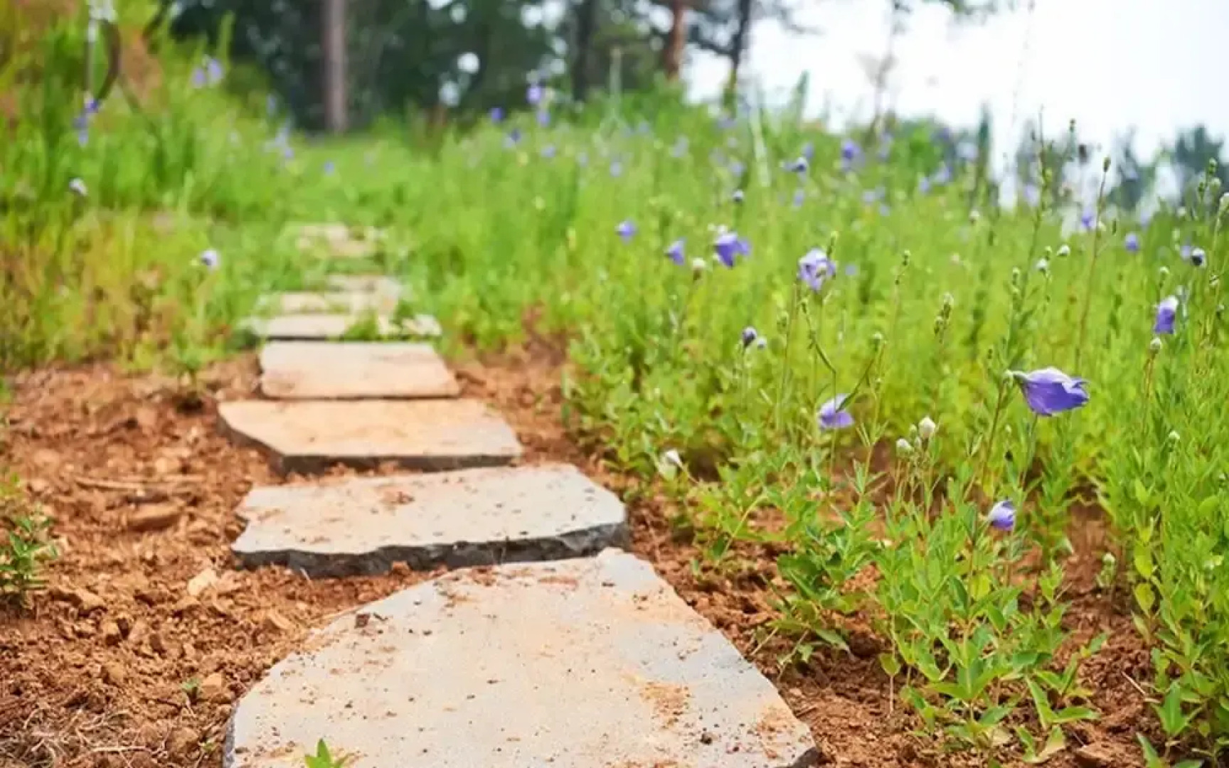 Yeongdeok Hyanguiteo Pension
