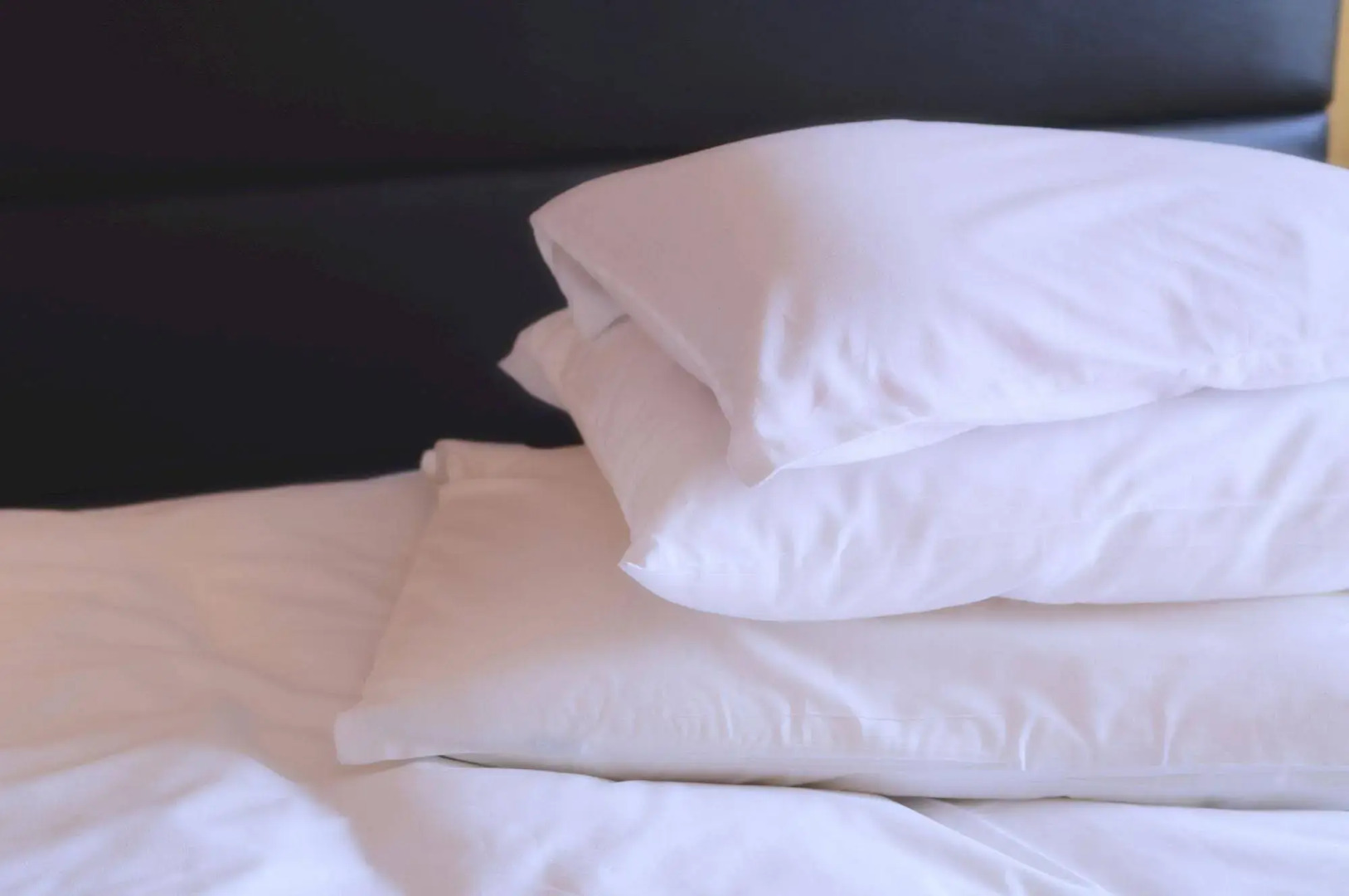 Toyama Daiichi Hotel