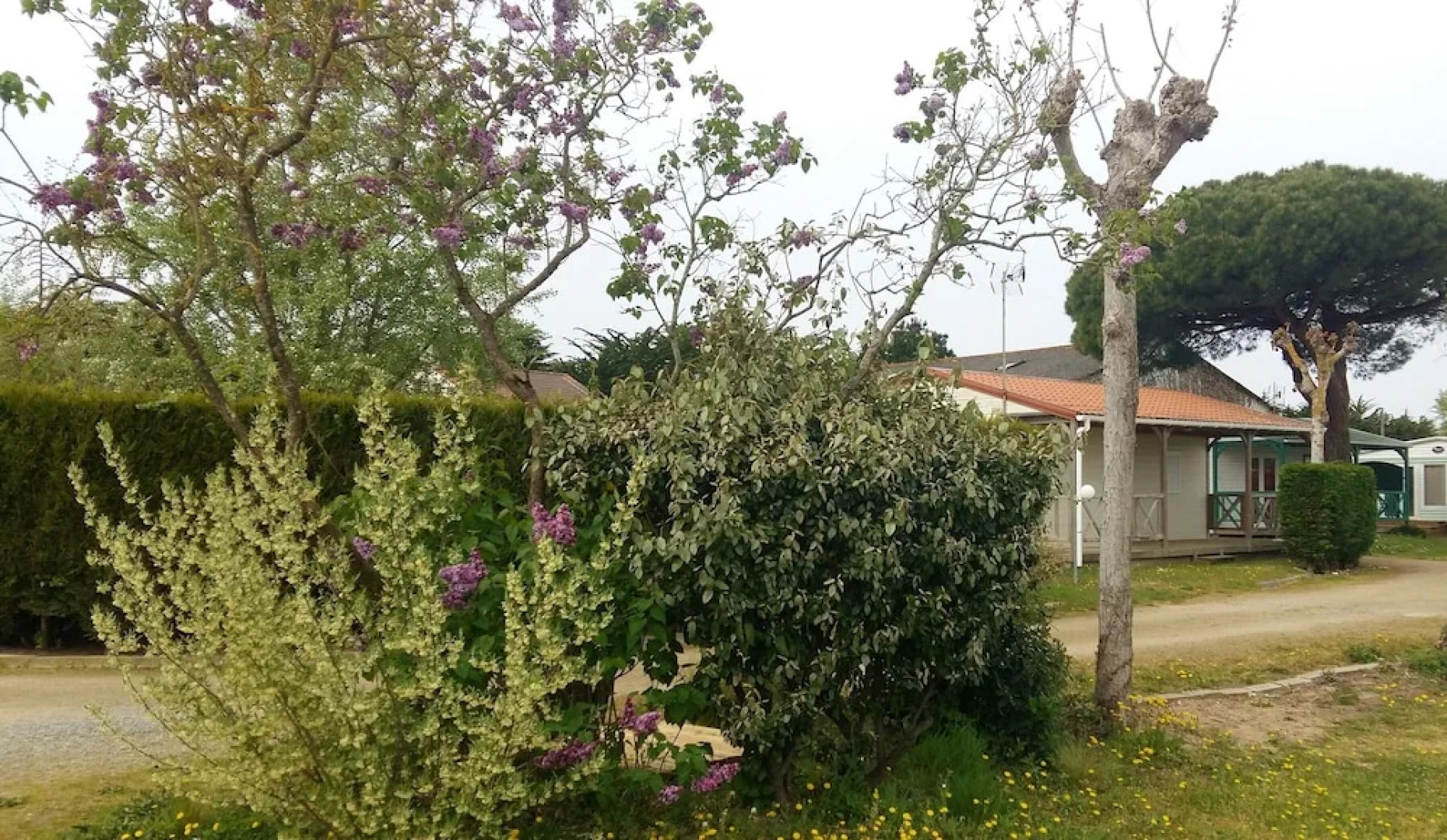 Self catering 1 room lodge