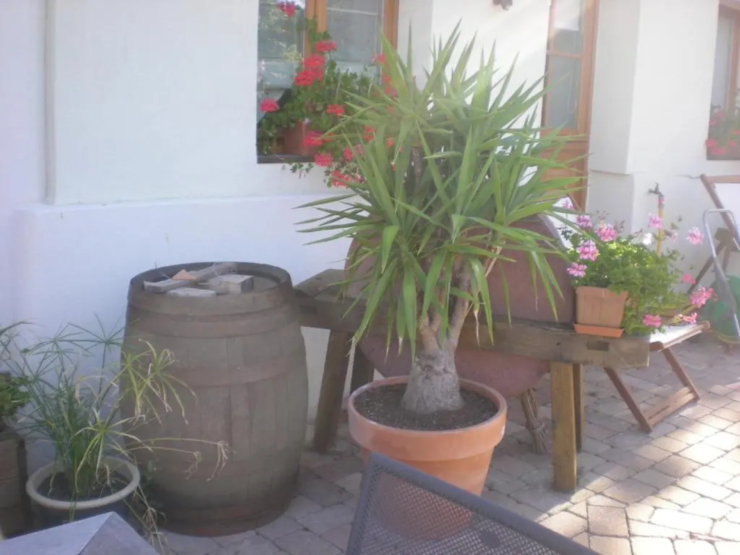 Le Pressoir des 4 Saisons