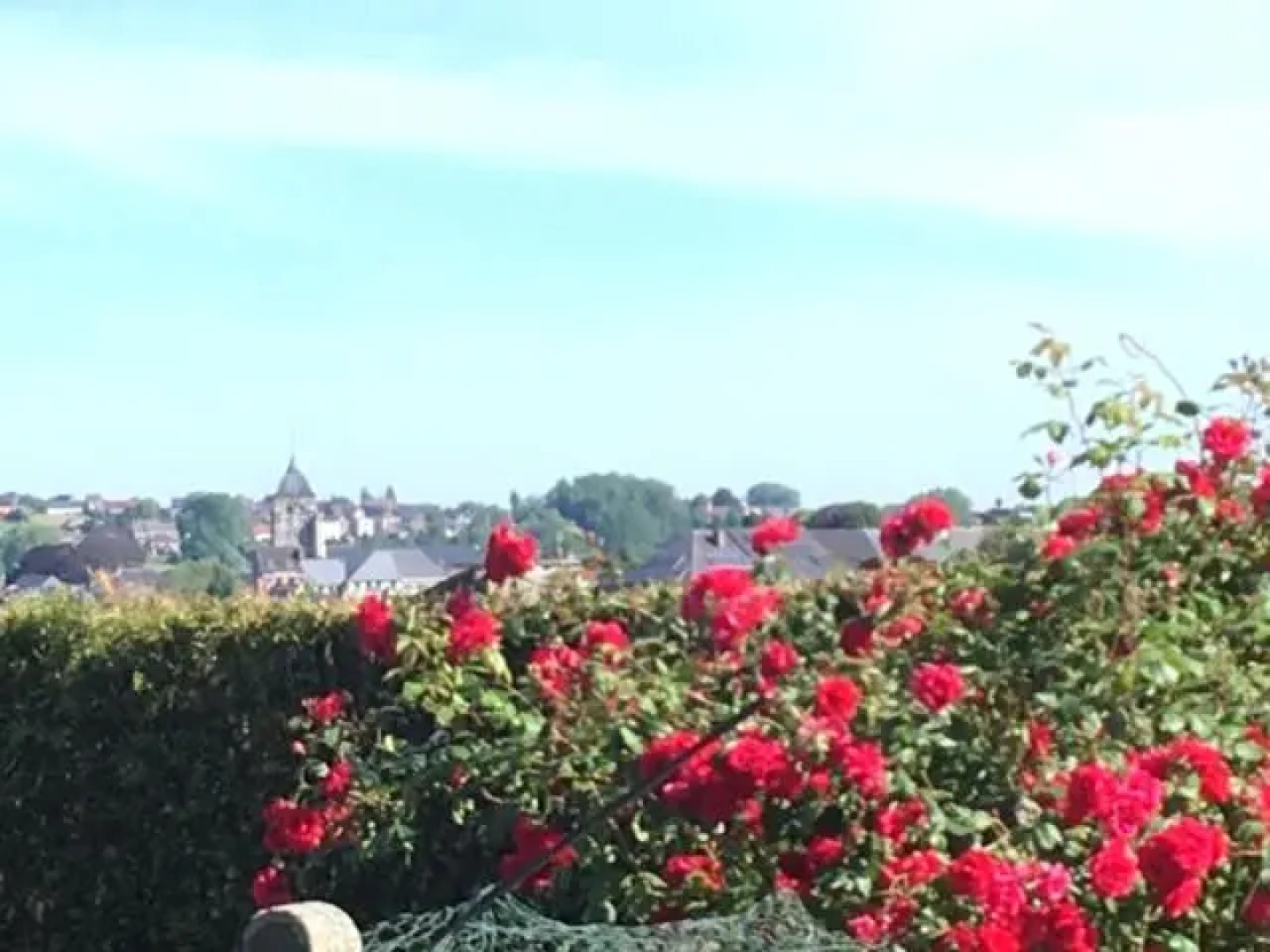 Vakantiewoning Hoge Zavel