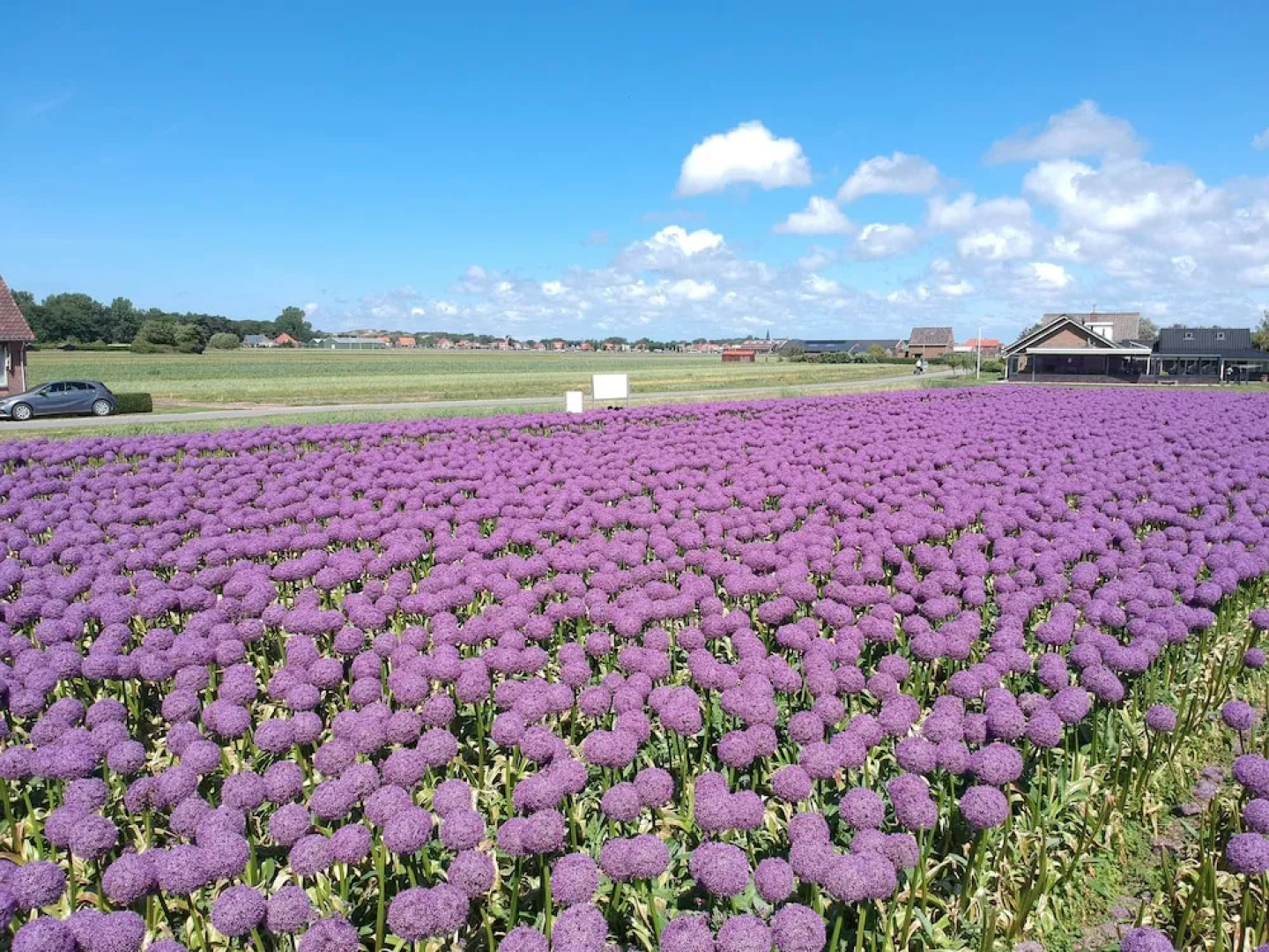 Havenlodge+ 3 People Luxury House