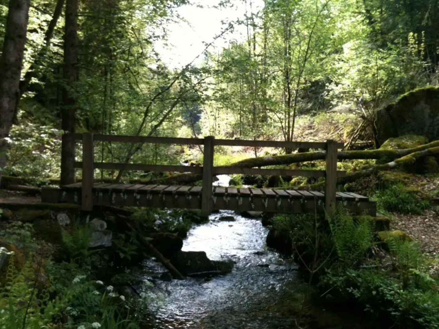 Chalet Les Ecureuils