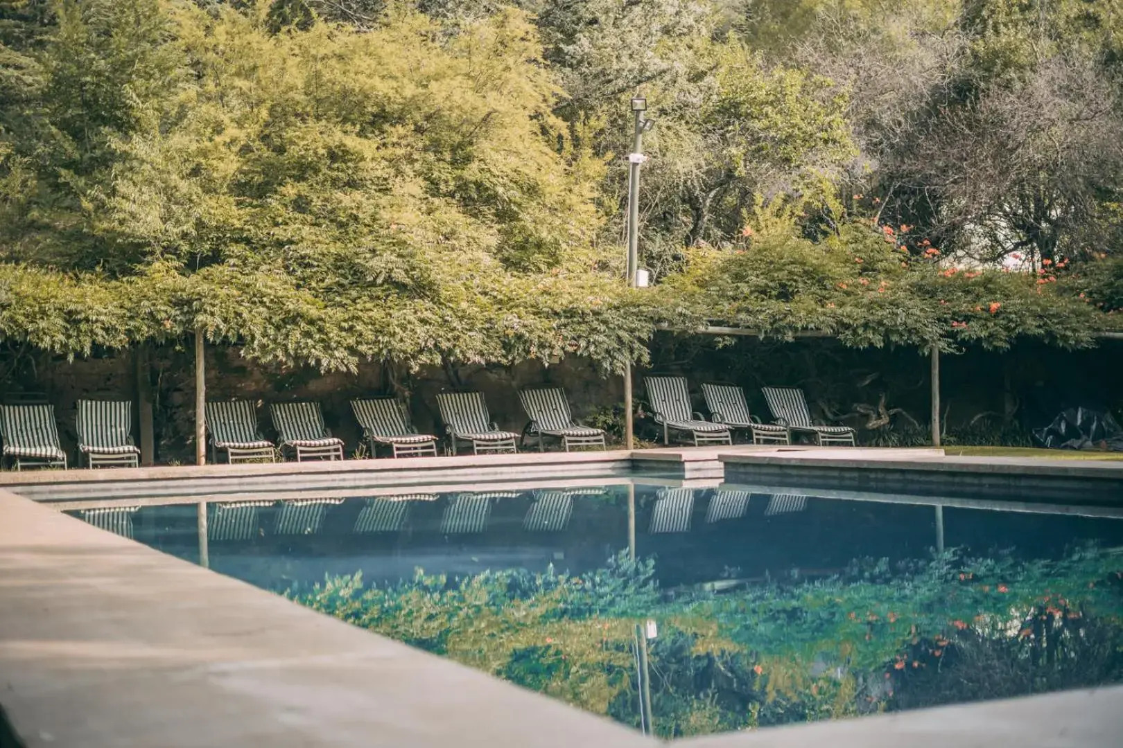 Wyndford Holiday Farm - All Inclusive