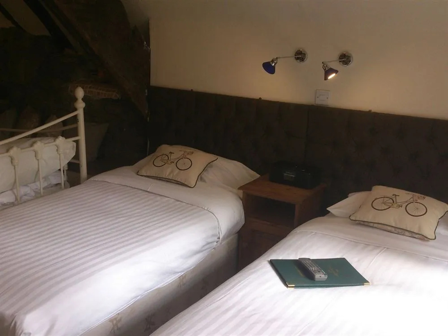 Plas Dolmelynllyn Country Hotel