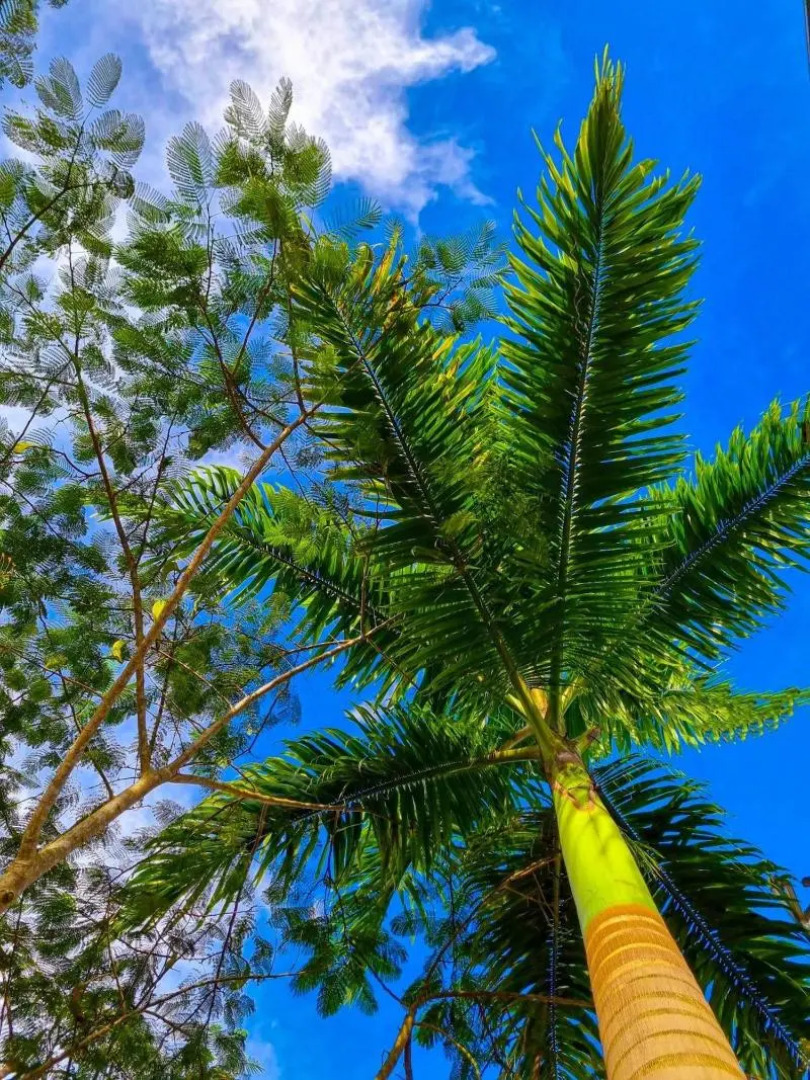 Country Club Eco - Casa Jardín