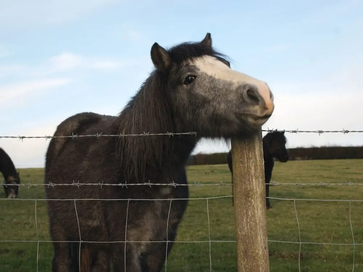 The Stone Barn Cottage