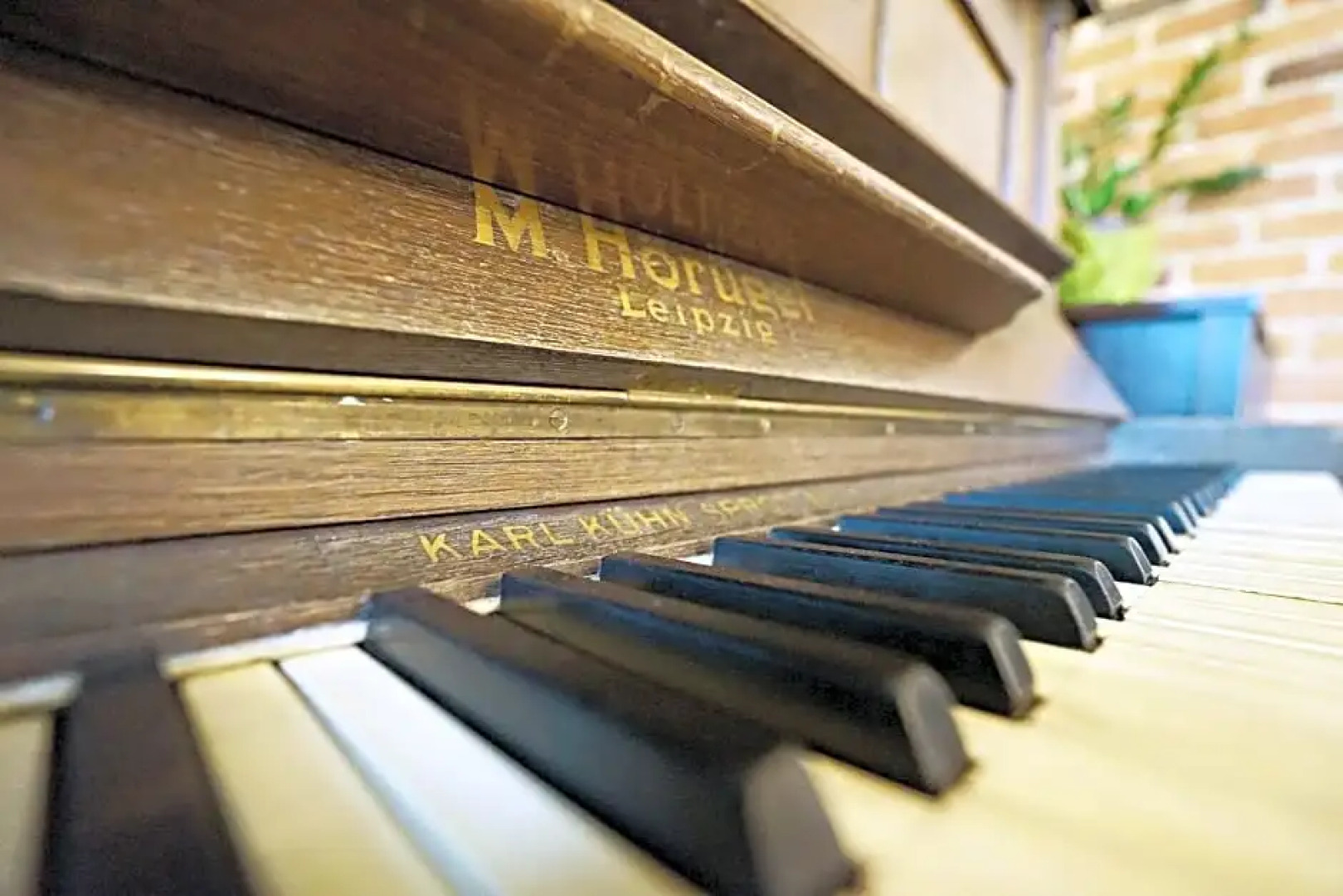 Zamek Królewski we Wschowie