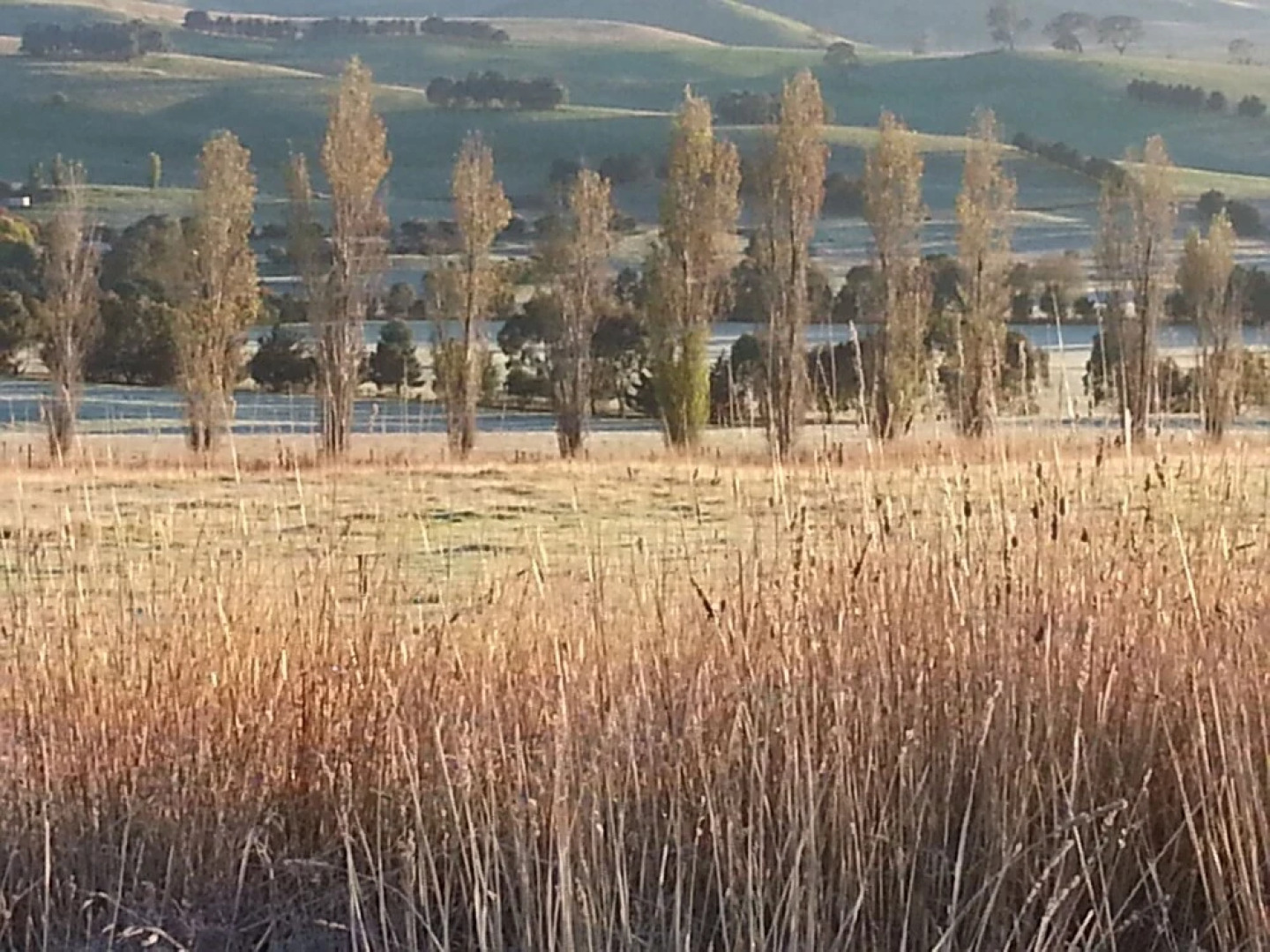Alpine Stag Lodge House