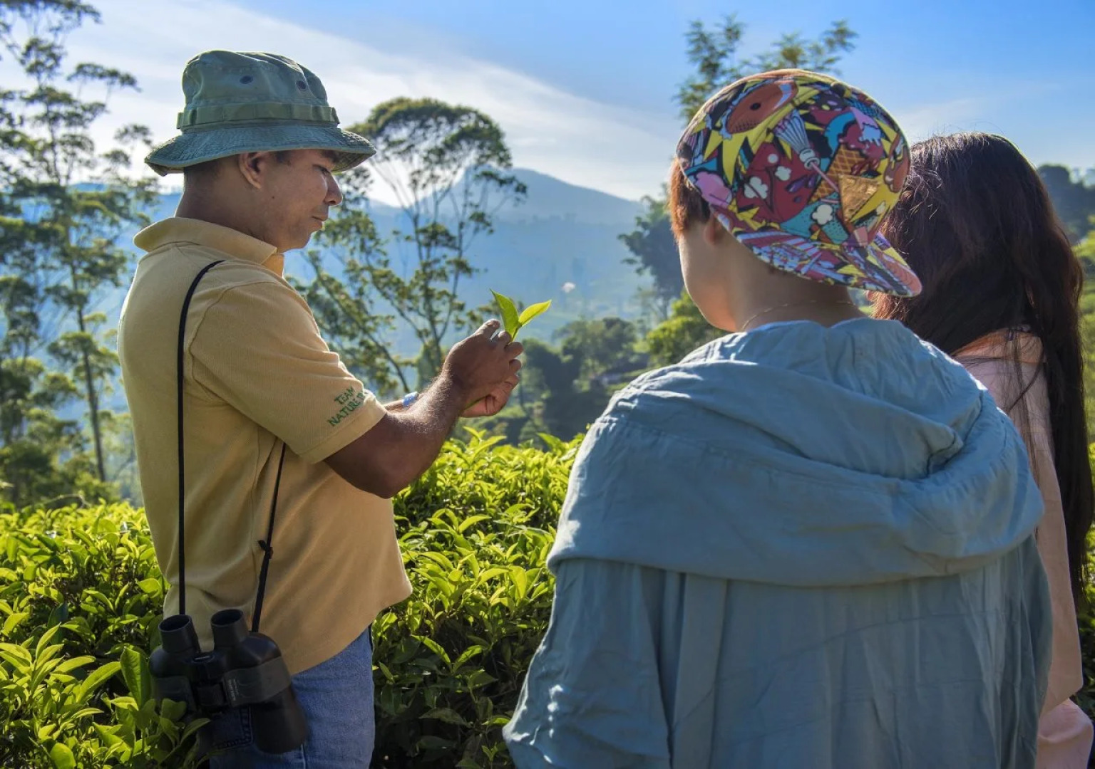 Strathdon by Zinc Journeys