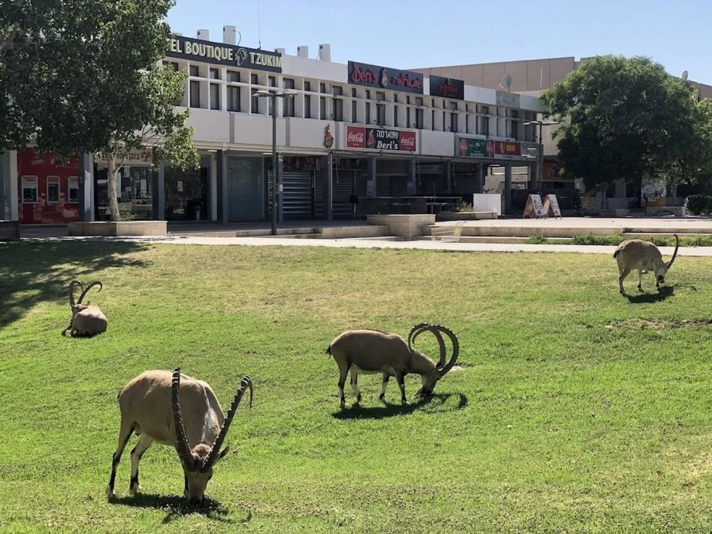 Boutique Hotel by Tzukim