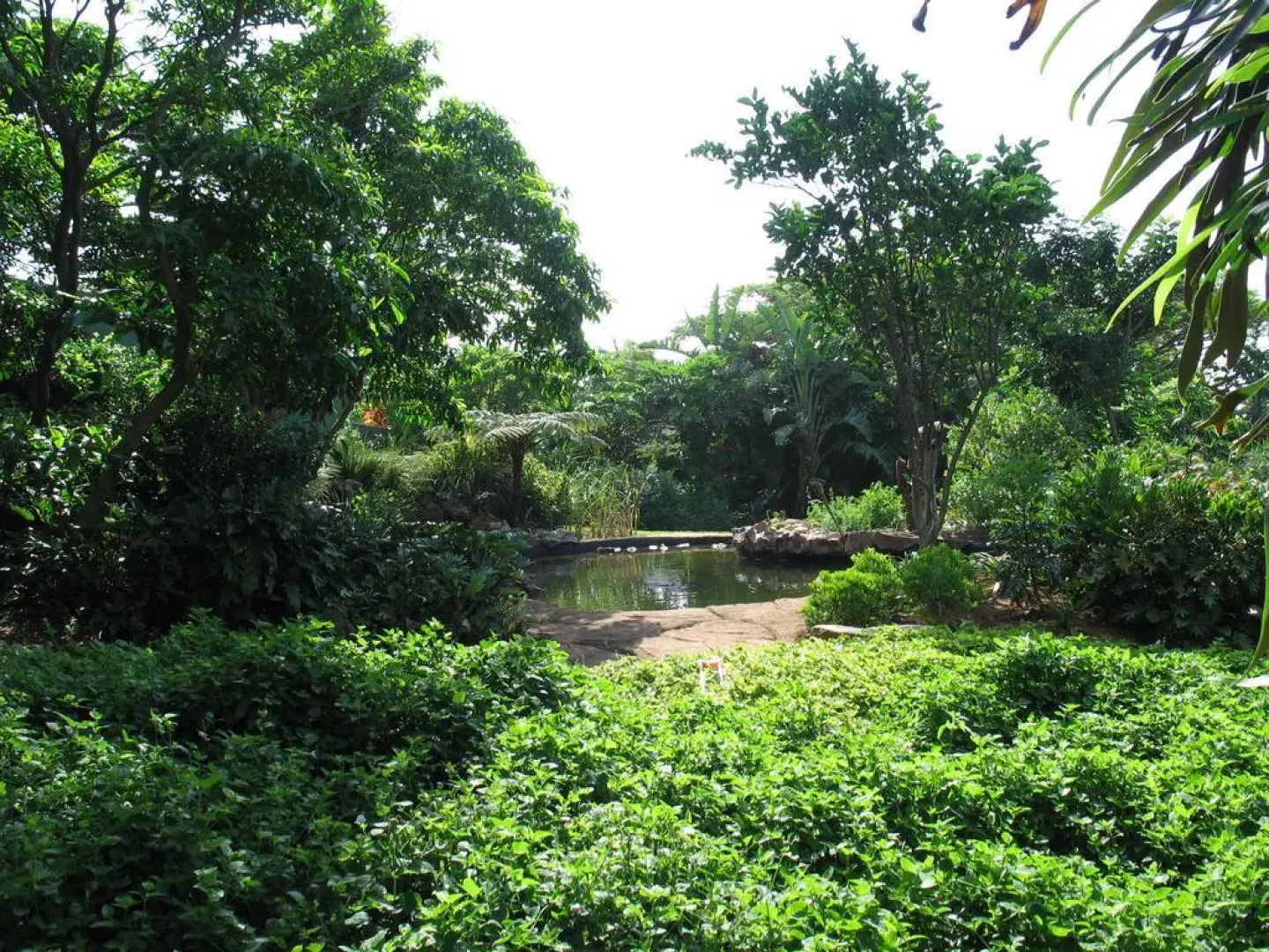 Comfort House Bed & Breakfast