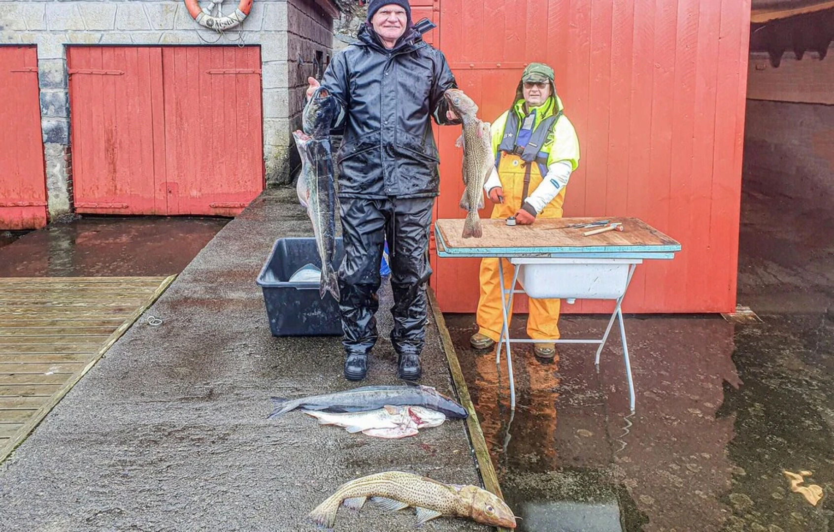 Nice Home in Skjold With 3 Bedrooms and Wifi