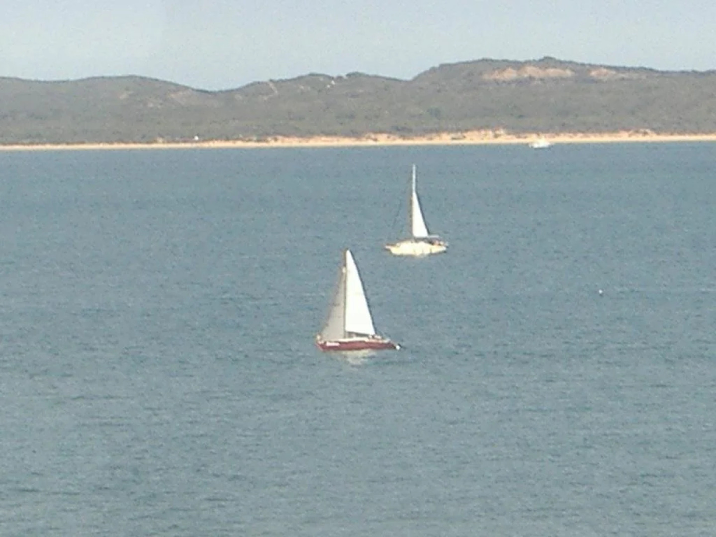 Carisbrook Cottage Queenscliff