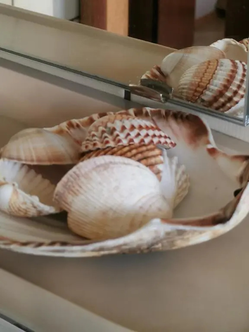 Lenzenhof anno 1720 I