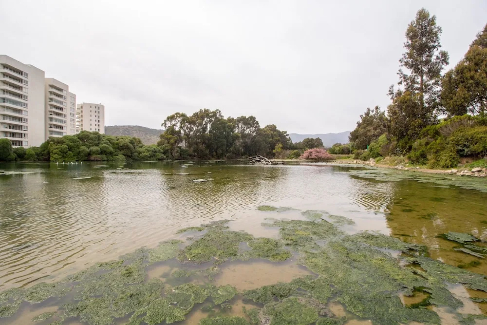 Condominio Papudo Laguna