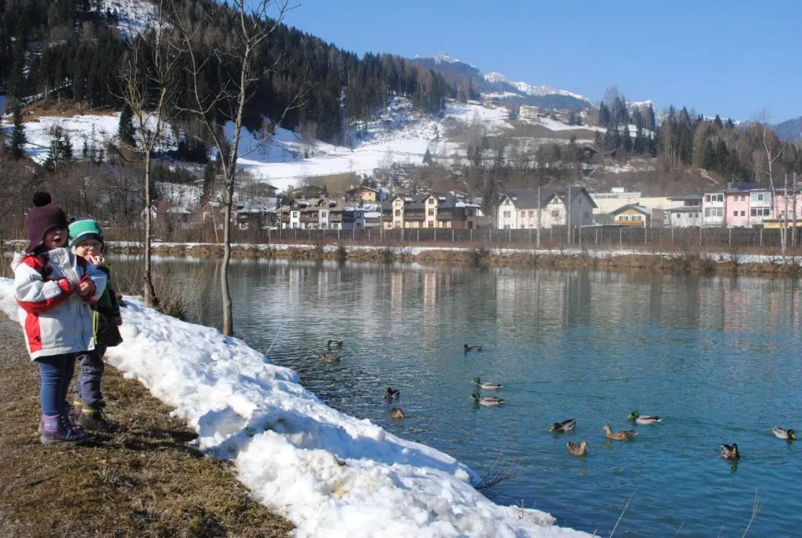 Familien-Bauernhof NEUMOAR