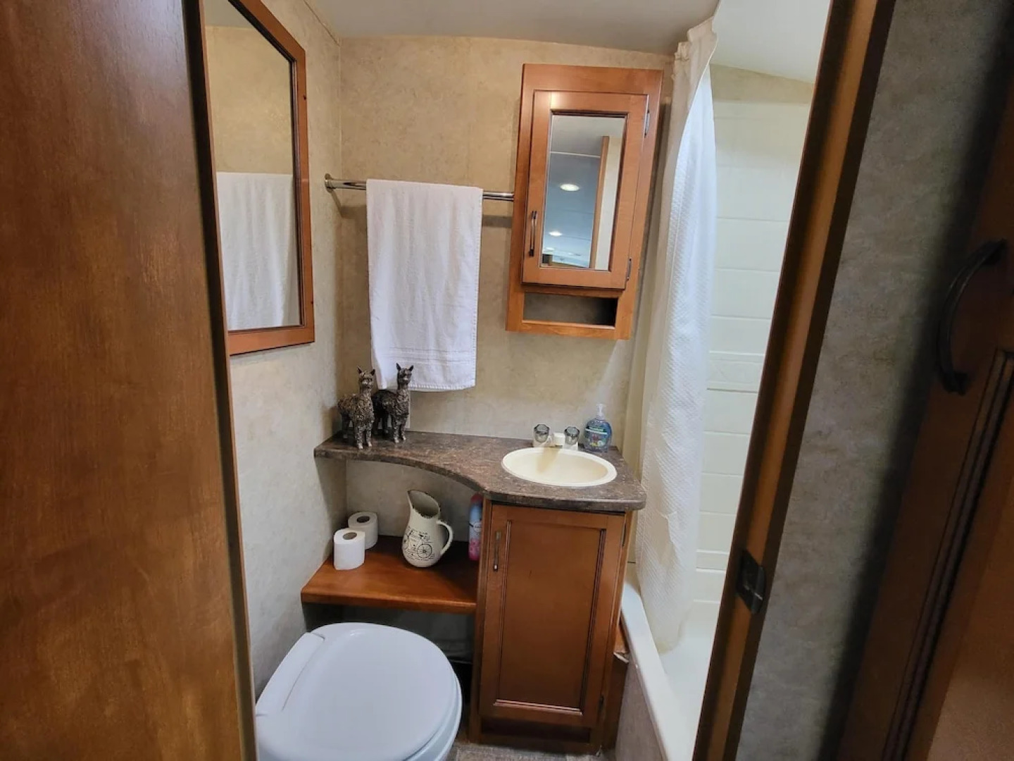 Glamping With Llamas