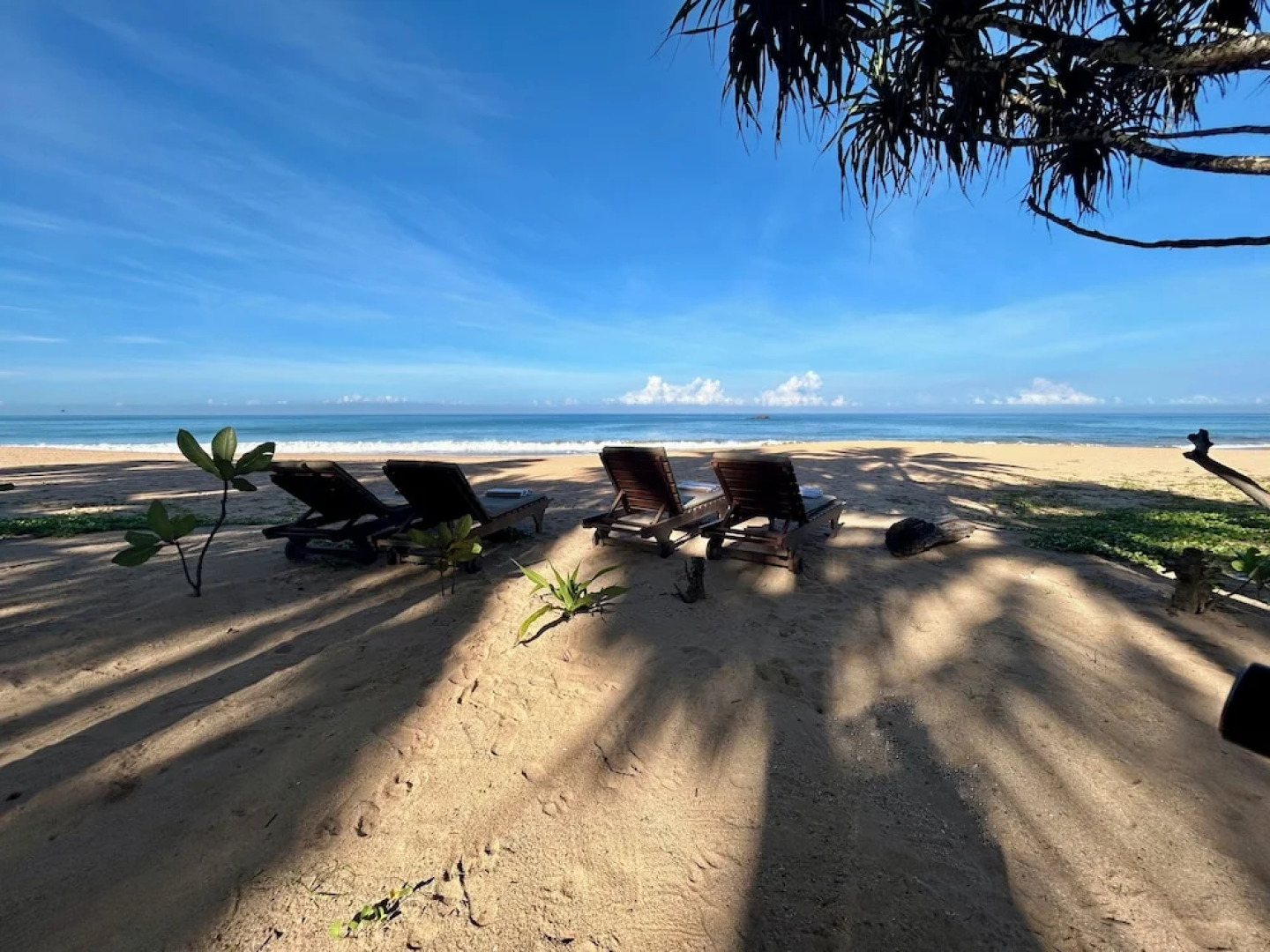 Bombay Bicycle Club Bentota