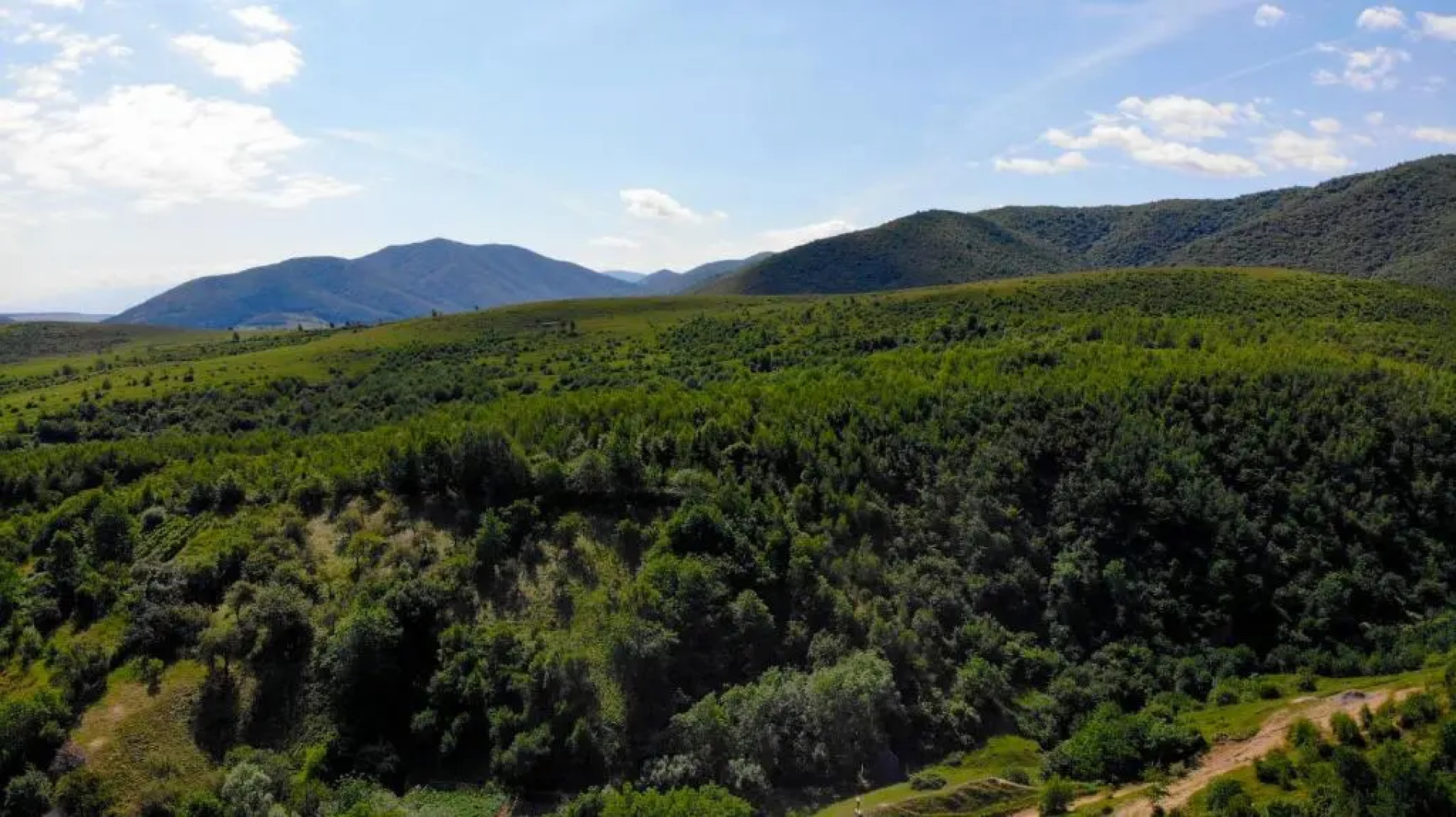 Pensiunea Darian & David