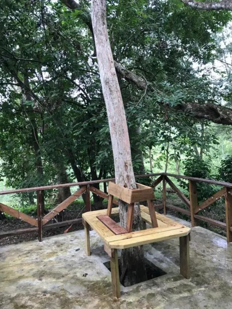 Mango Walk Inn