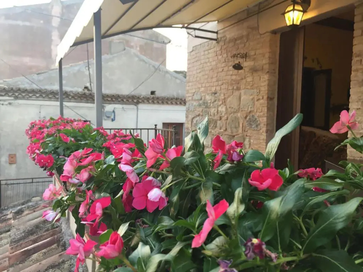 Sulle orme di Federico II