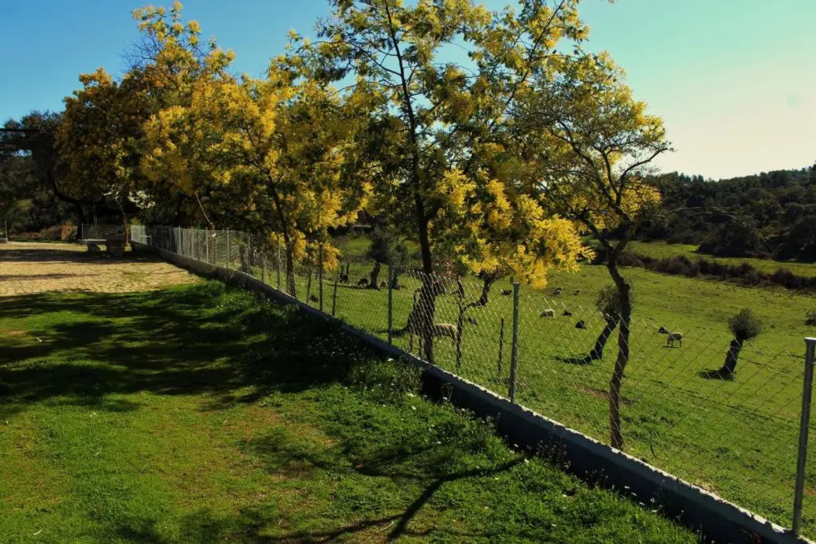 Monte da Fonte Santa de São Luís