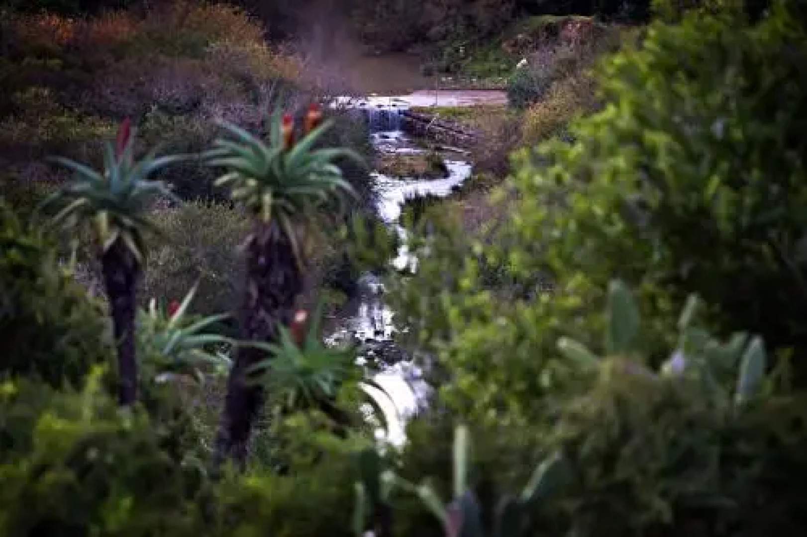 Addo Palace Bush Huts