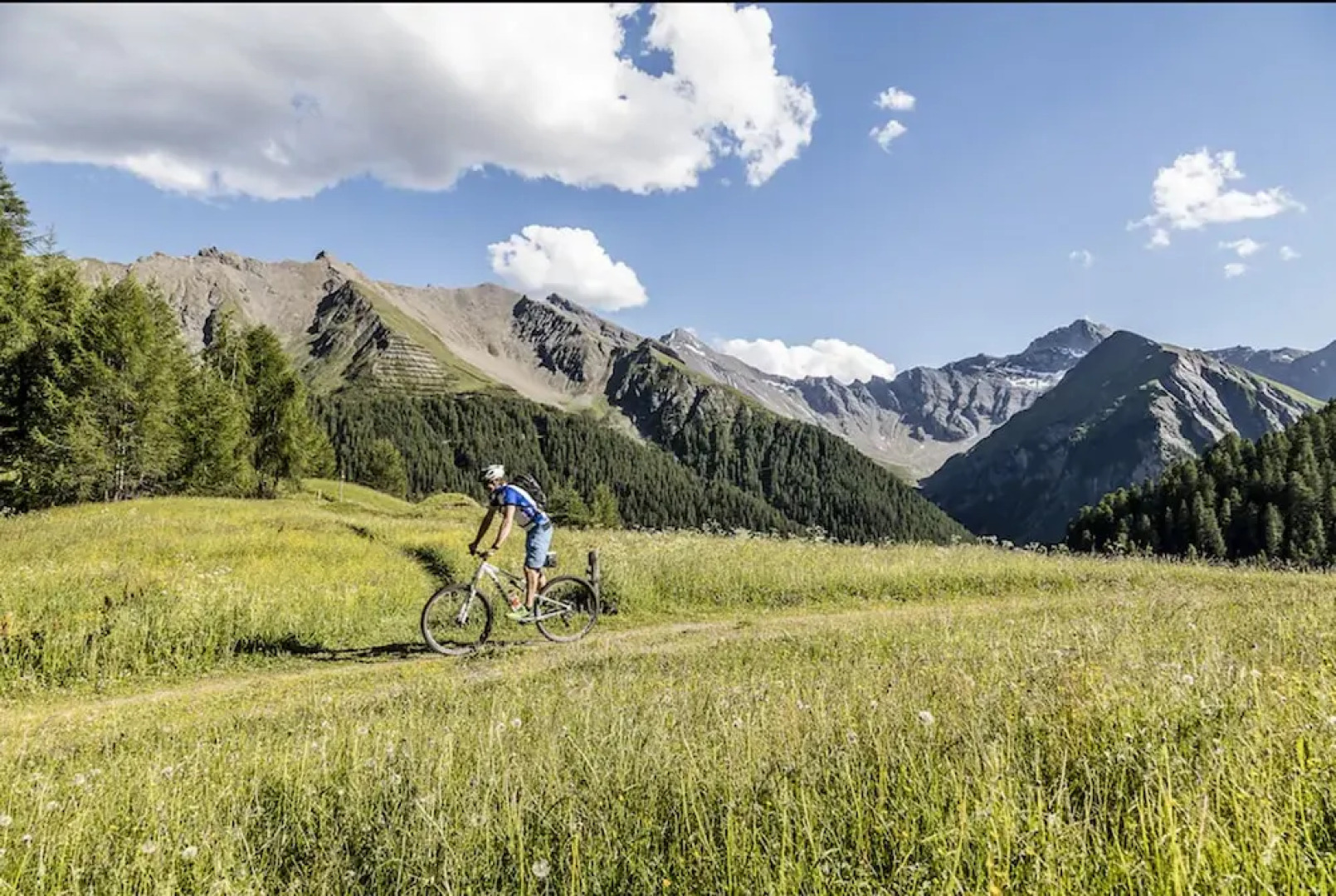 Steinbock Apartments