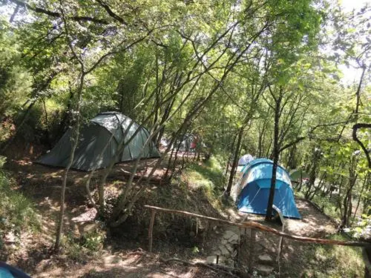 Adrenaline Check Kaki Event Place