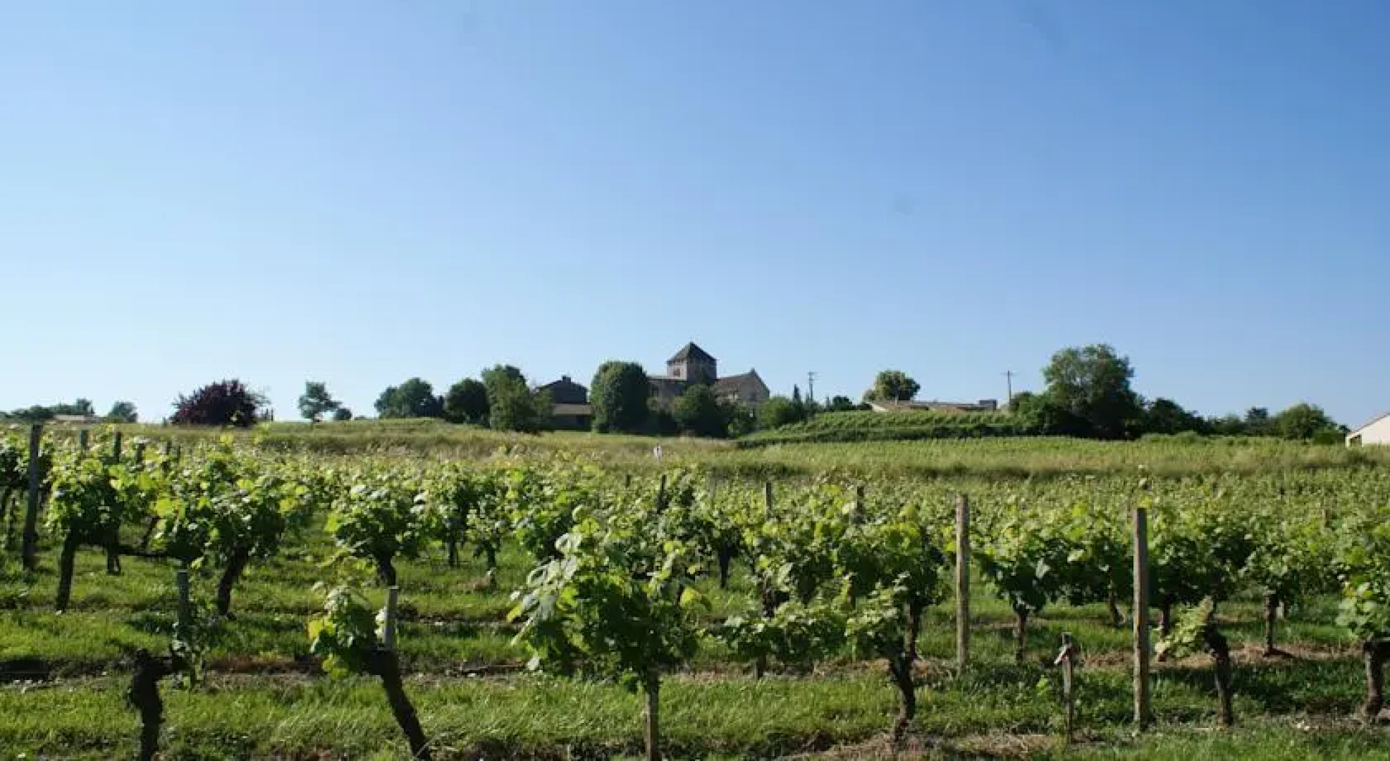Château Croix Beauséjour