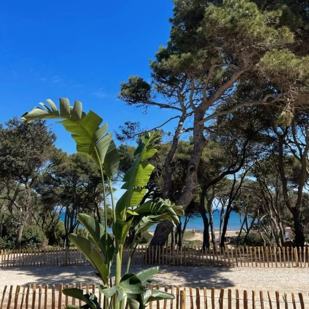 Le Domaine de la Mer