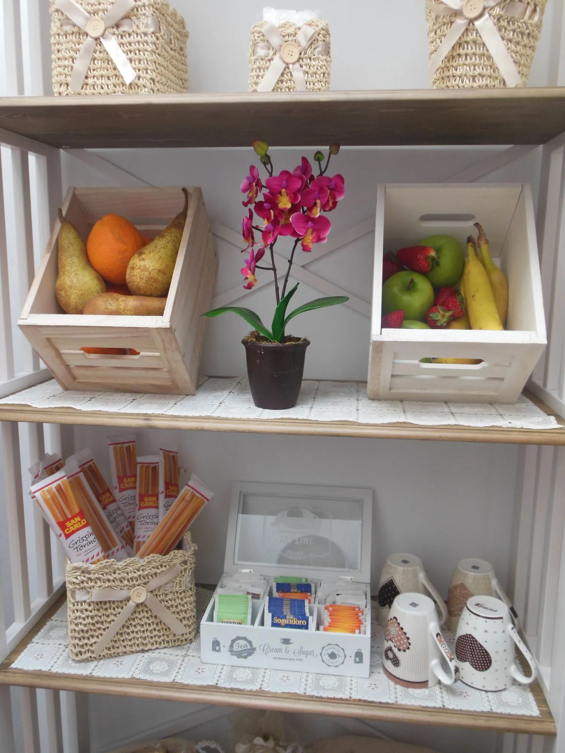 Actinia Accomodation